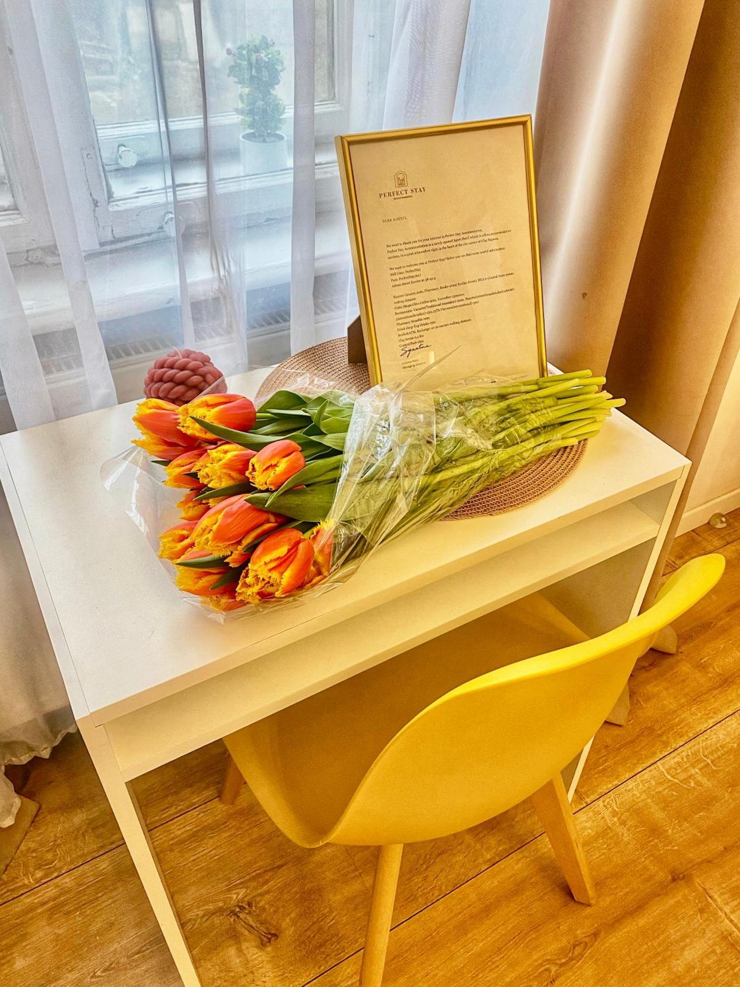 Perfect Stay Клуж-Напока Экстерьер фото